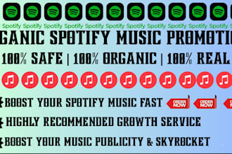professionally promote your track on spotify to streams