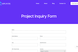 develop a professional wordpress website or blog