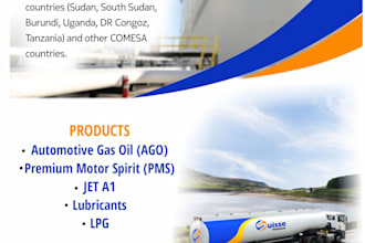 design a catchy corporate flyer for you