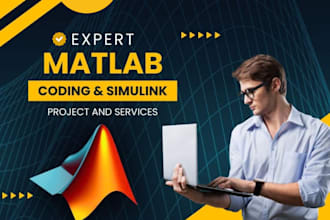 do any work in matlab, advance matlab expert