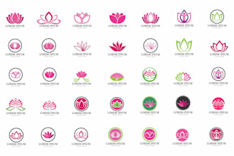 draw botanical illustration of flower illustration, plant illustration, and logo