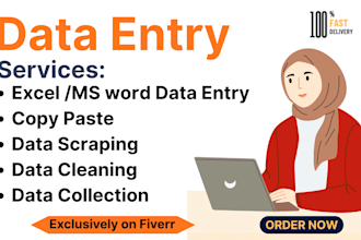 do accurate data entry and fast copypaste work