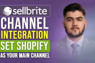 integrate sellbrite with amazon, ebay, shopify, and walmart for fully automation
