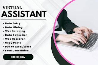 virtual assistant for excel data entry and formatting