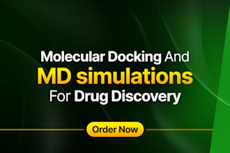 run molecular docking and dynamics simulations
