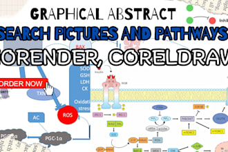 design research figs, pathways, graphical abstract and posters
