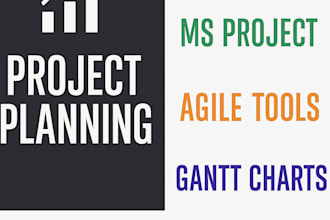 plan and schedule your technical project using ms project or agile tools