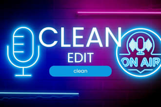clean song make into radio edit