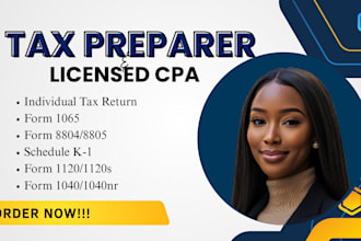 prepare and file form 1040, 1040nr, 1065, 1120, 1120s to irs