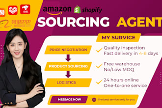 be your china sourcing agent, supplier wholesale logistics
