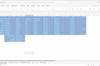 provide affordable detail oriented data entry services