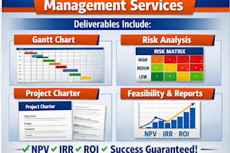 create professional project plans, gantt charts, and risk analysis