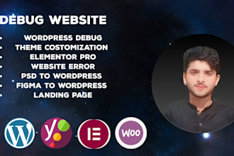 fix debug website, fix webflow, wordpress debug, and wordpress login