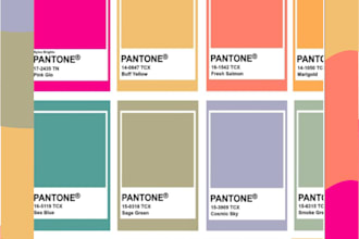 professionally match your design to accurate pantone colors