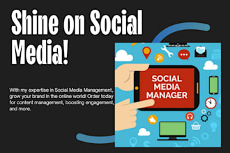 provide social media management service for instagram facebook and linkedin