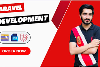 develop a professional laravel website or web application