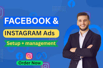 setup and manage facebook and instagram ads