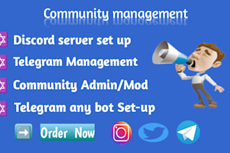 crate and manage a professional discord server