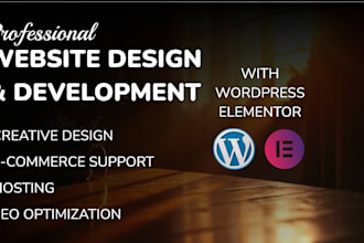 make a professional website