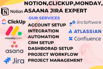 be your expert in notion, monday, clickup, asana, and jira project management