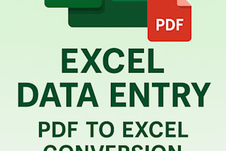 do accurate excel data entry formatting PDF to excel conversion and invoicing
