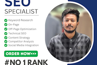 seo expert for higher rankings and traffic