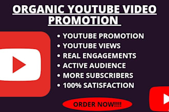 do organic USA, UK youtube channel promotion to boost views and subscribers
