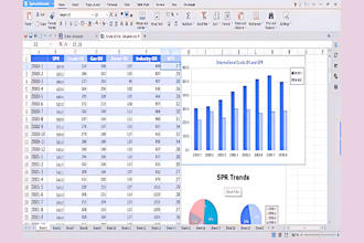 professionally design a custom excel budget spreadsheet for you