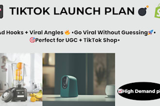 create a viral tiktok dropshipping launch plan with ad hooks and strategy