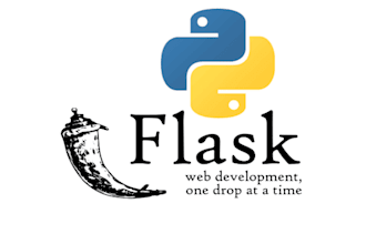 develop a custom python flask web application or API