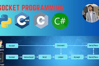 do socket programming, networking, tcp ip udp in python c cpp