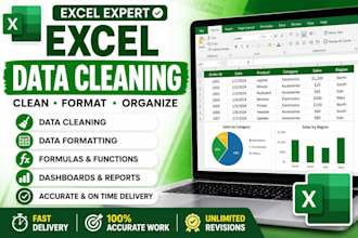 clean, format and organize your excel data professionally