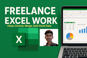 clean excel data, formatting and create excel dashboards
