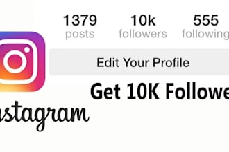 add 10k instagram followers