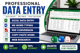 do professional data entry and excel typing for business and office tasks