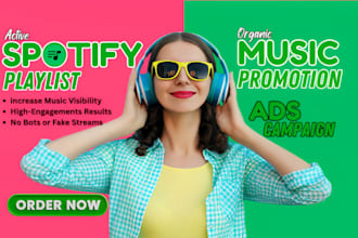 organic spotify music promotion, song promotion spotify chart, music blog stream