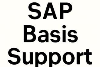 provide sap basis support, integrations