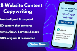 write b2b conversion focused website content copywriting