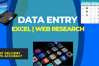 professional data entry expert