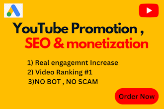 do youtube organic and paid promotion and SEO for monetization