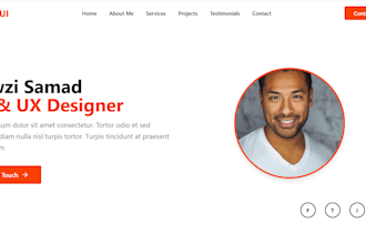create a professional portfolio website