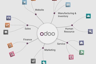 setup, implement and personalise odoo for your business