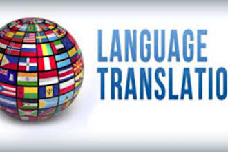 do translate from one language to other properly