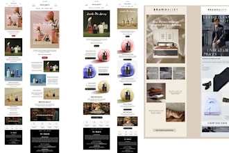 design attractive emails involving different sections