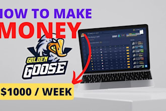 promote your golden goose offer, affiliate link cpa offer cpa marketing 10x ROI