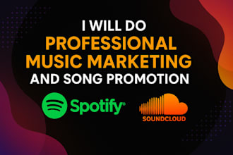 do professional music marketing and song promotion on spotify and soundcloud