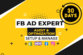 facebook ads audit optimize meta campaign  for shopify wocomarce fb ads