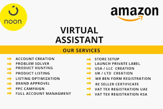 be your professional amazon and noon virtual assistant