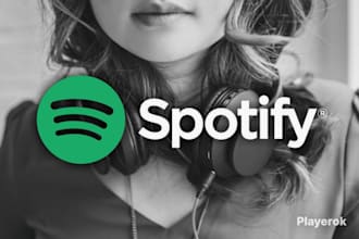 do professional spotify track promotion for grow your spotify music career