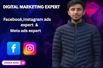 run facebook instagram meta ads strategy consultation